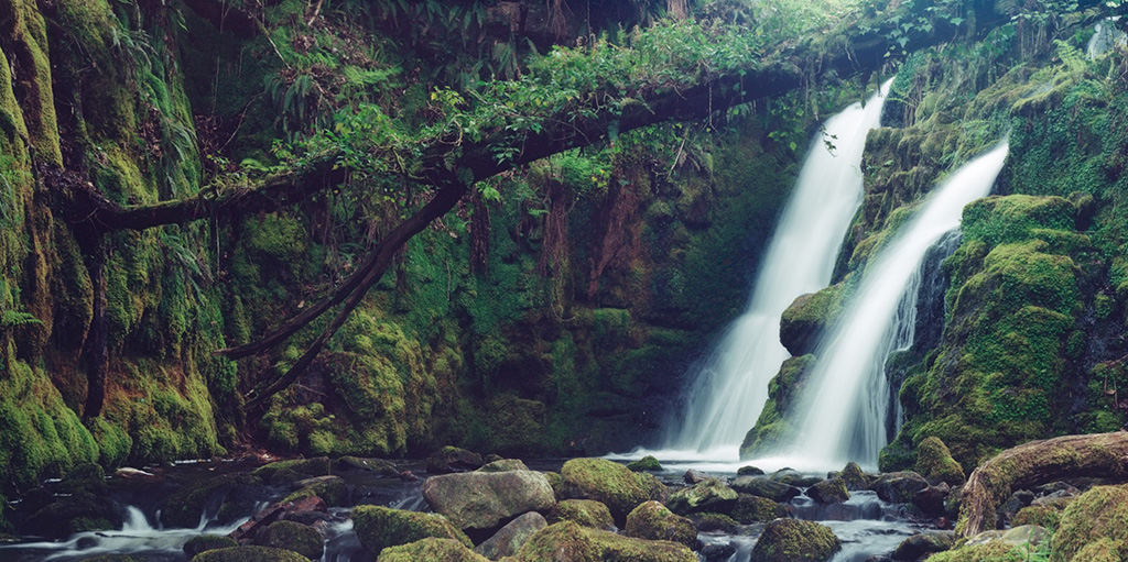 dartmoor-01.jpg