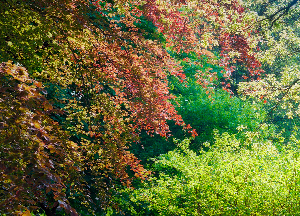 dartmoor-02.jpg