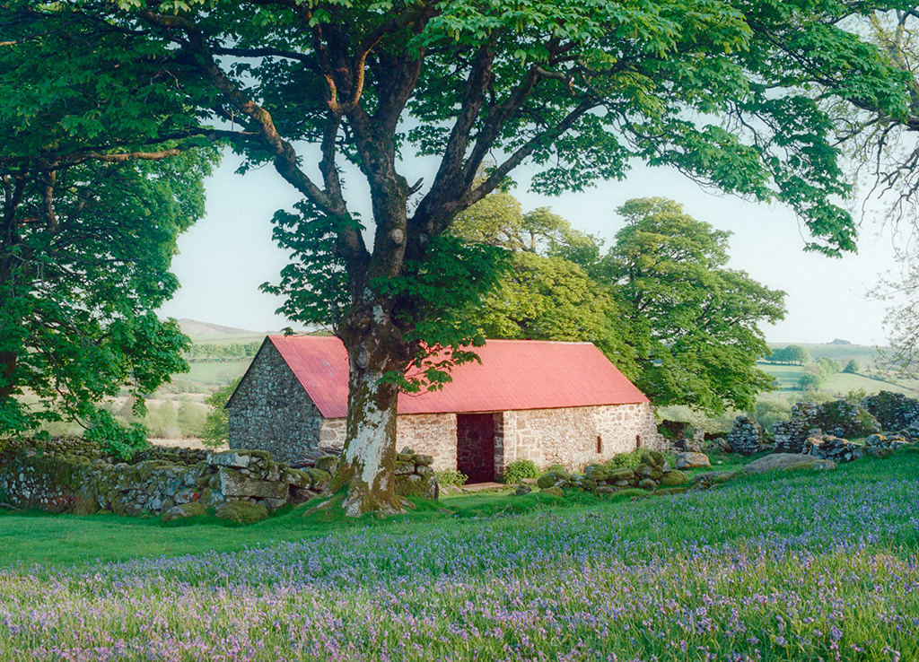 dartmoor-03.jpg