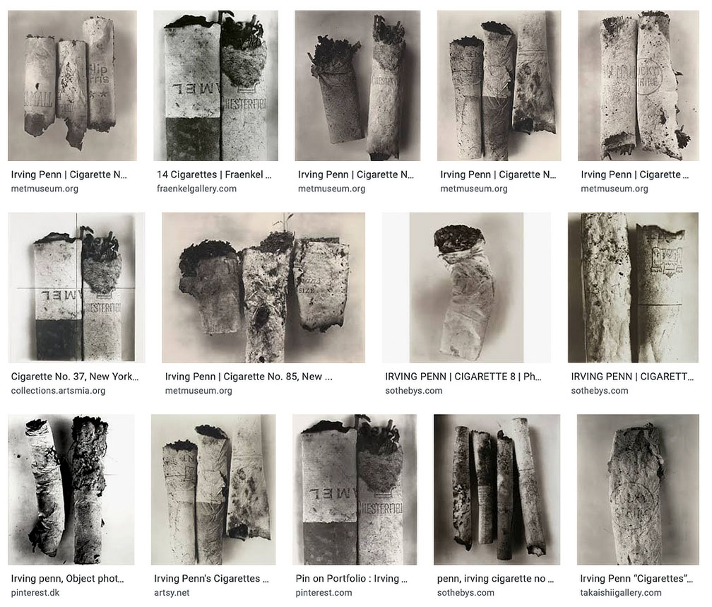 david_campany-on_photographs-irving-penn.jpeg