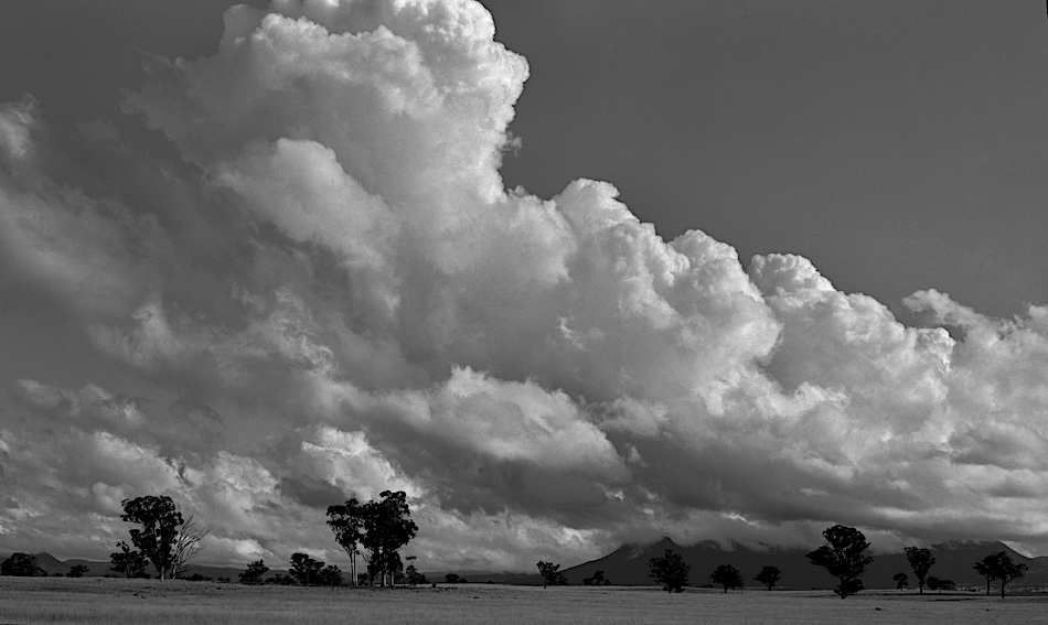 Delta 100 copy.jpg