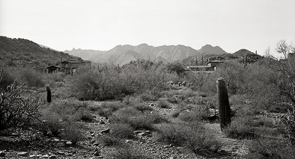 Desert2.jpg