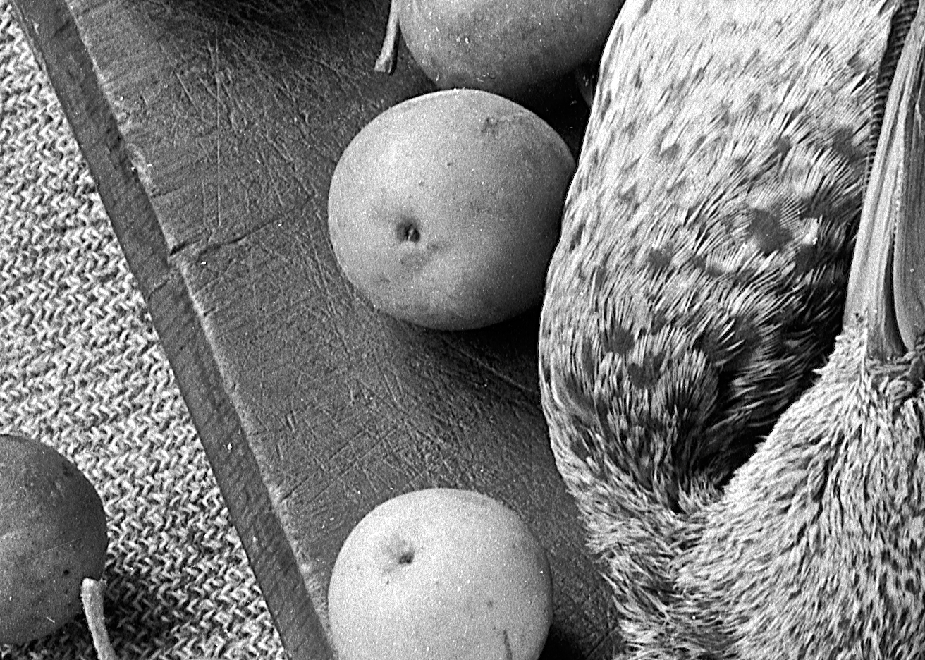 detail.jpg