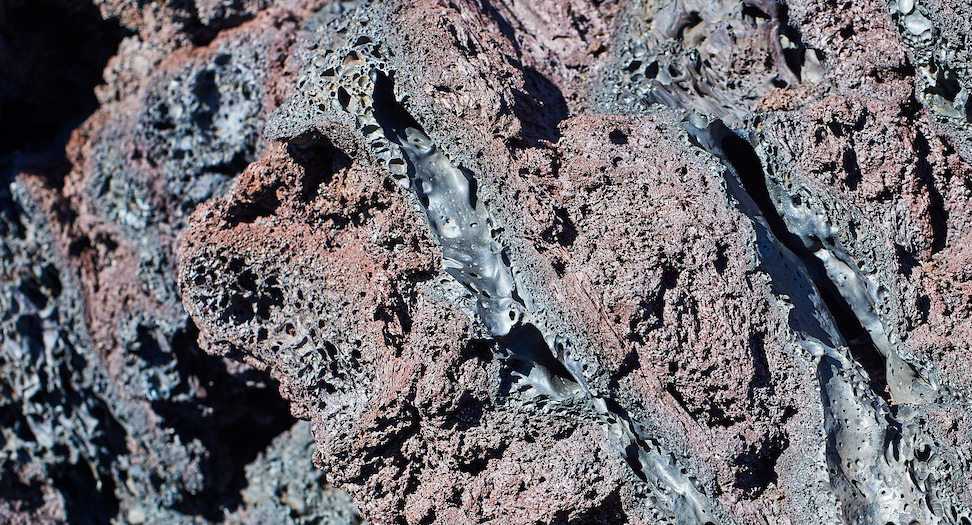 DFC_3777.jpg