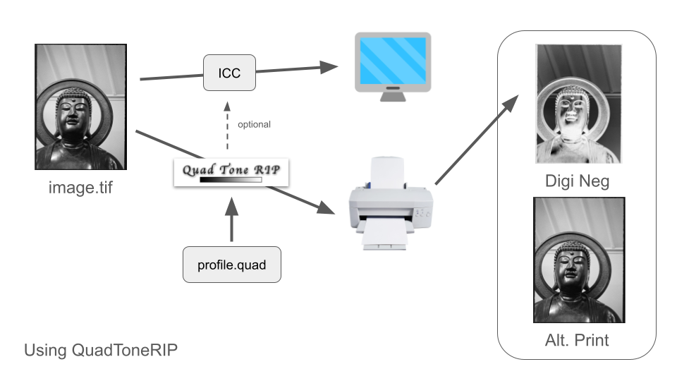 Digital Neg Workflow (1).png