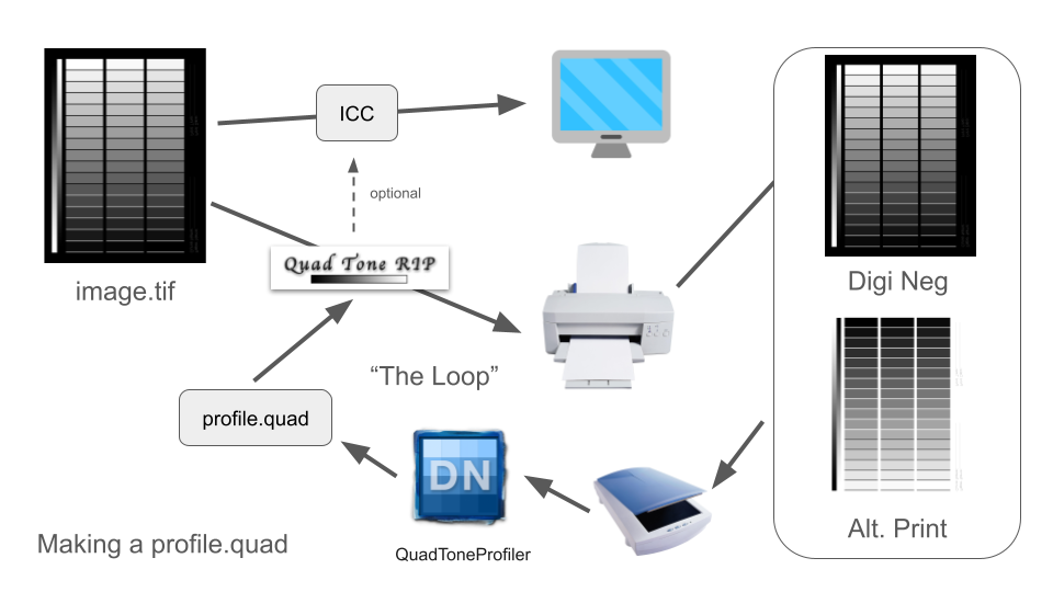 Digital Neg Workflow (2).png