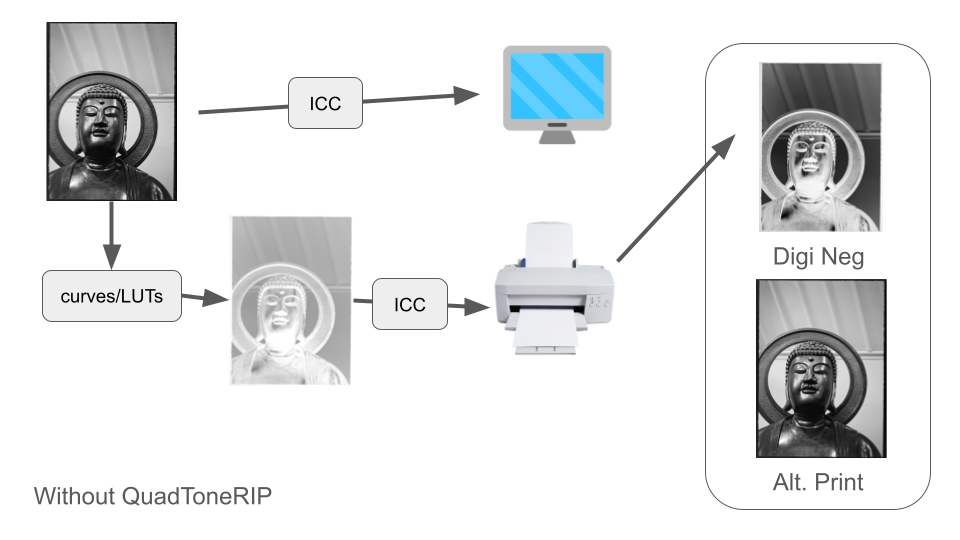 Digital Neg Workflow (4).png