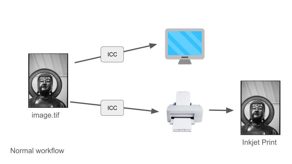 Digital Neg Workflow.png