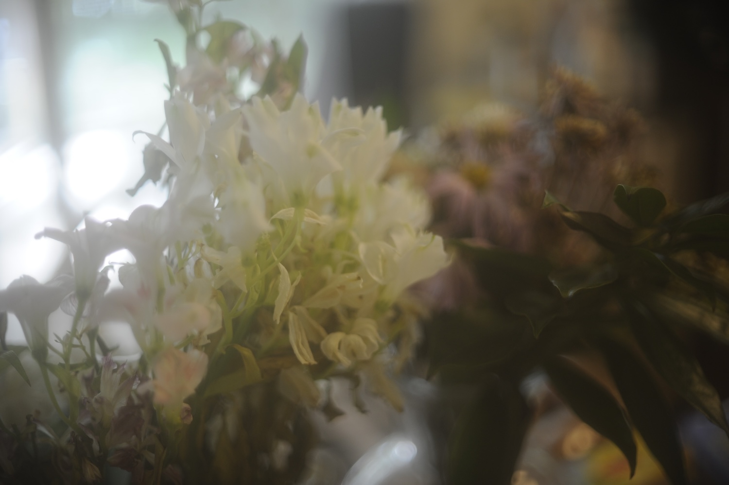Dirty 50 fleurs.jpeg