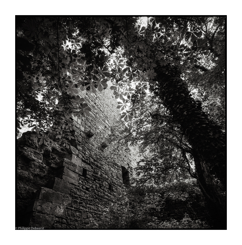 DISIBODENBERG 05.JPG