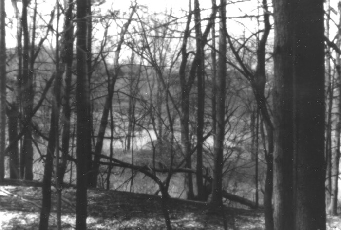 Down to pond.jpeg
