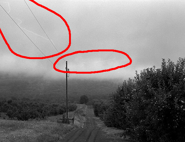 drying marks.jpg