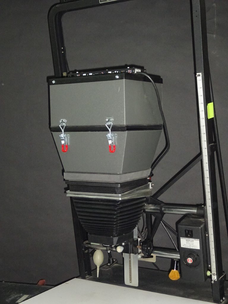 DSC00832 (Medium).JPG