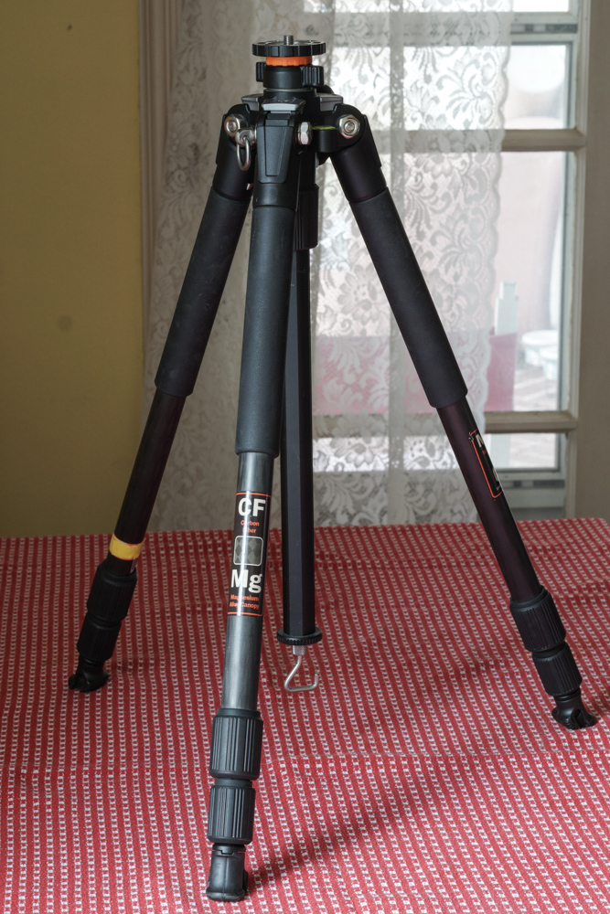 DSC02872.jpg