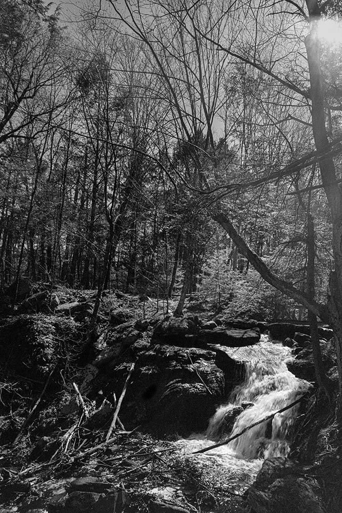 DSC04650 copy.jpg