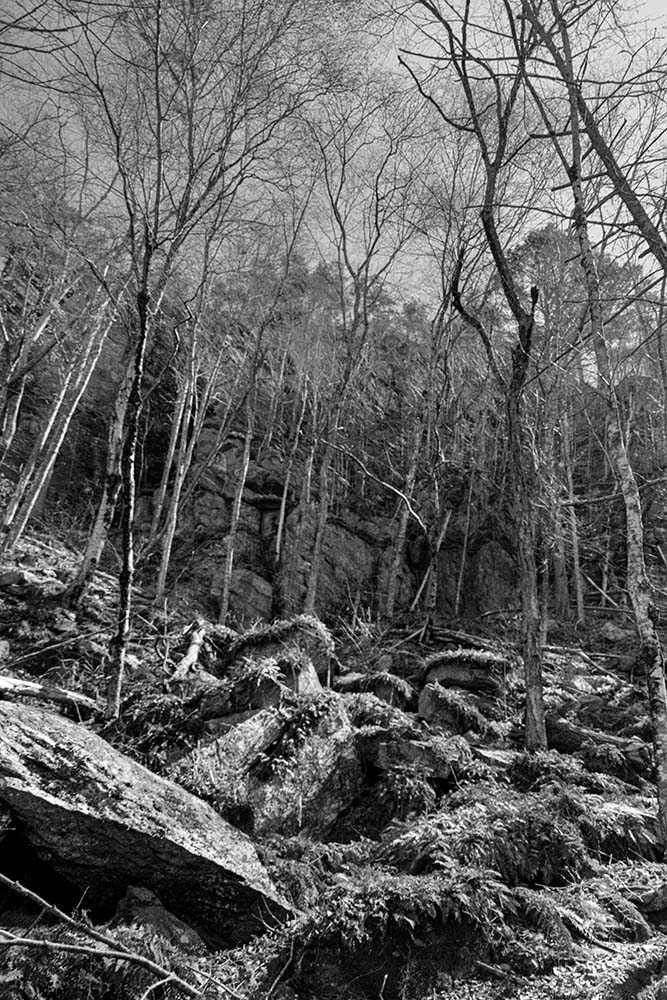 DSC04651 copy.jpg