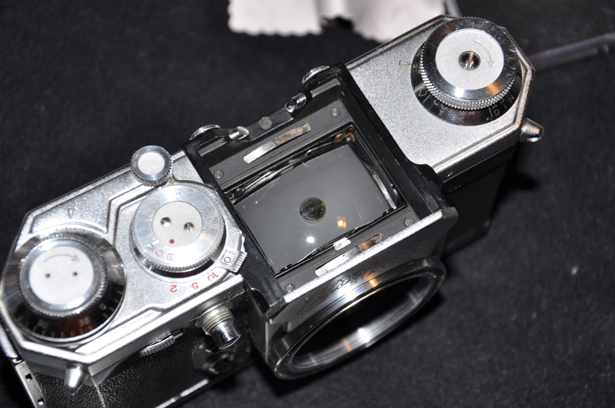 DSC_0013 2.JPG