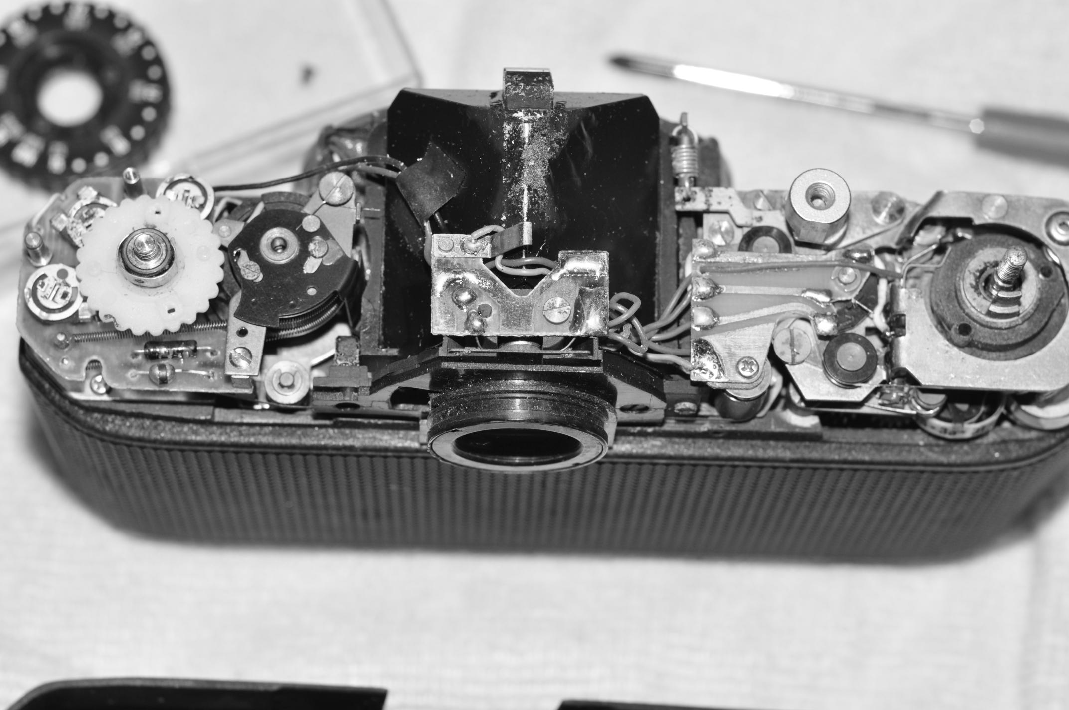 DSC_0055 1.JPG