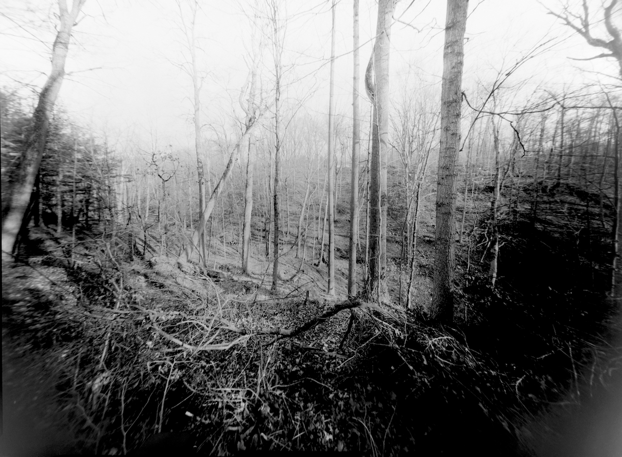 DSC_0175.jpeg
