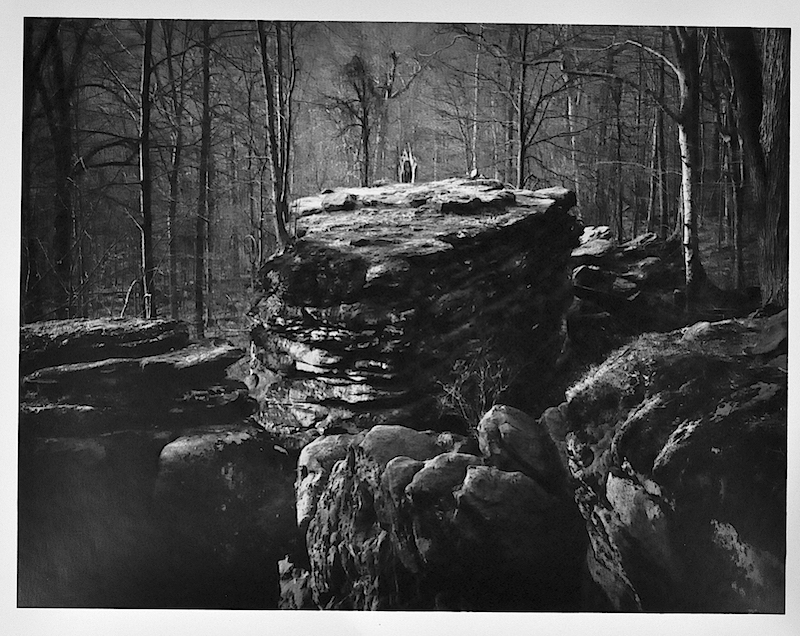 DSC_0334 copy.JPG