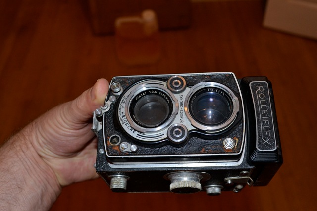DSC_0557.jpg