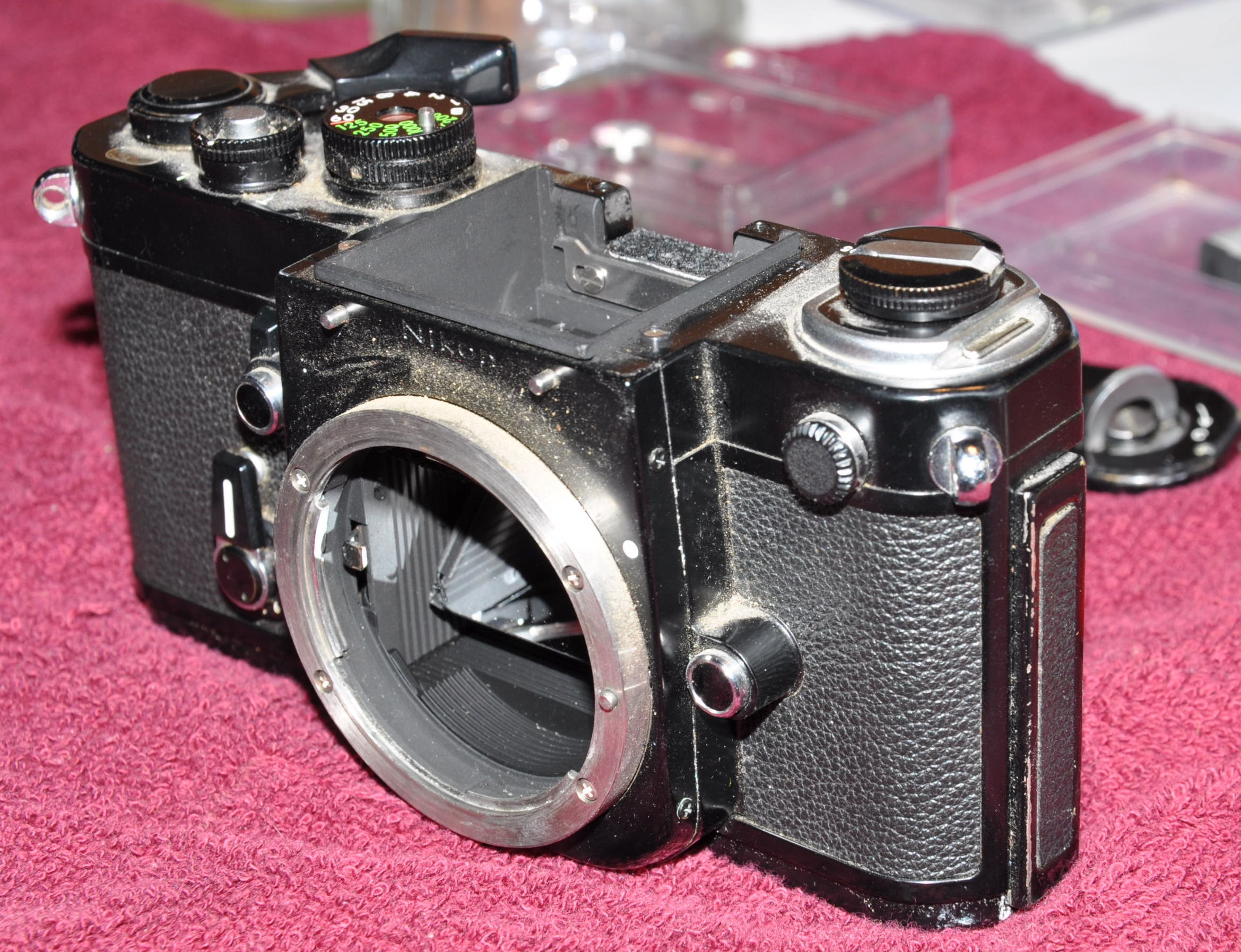 DSC_0590 1.JPG
