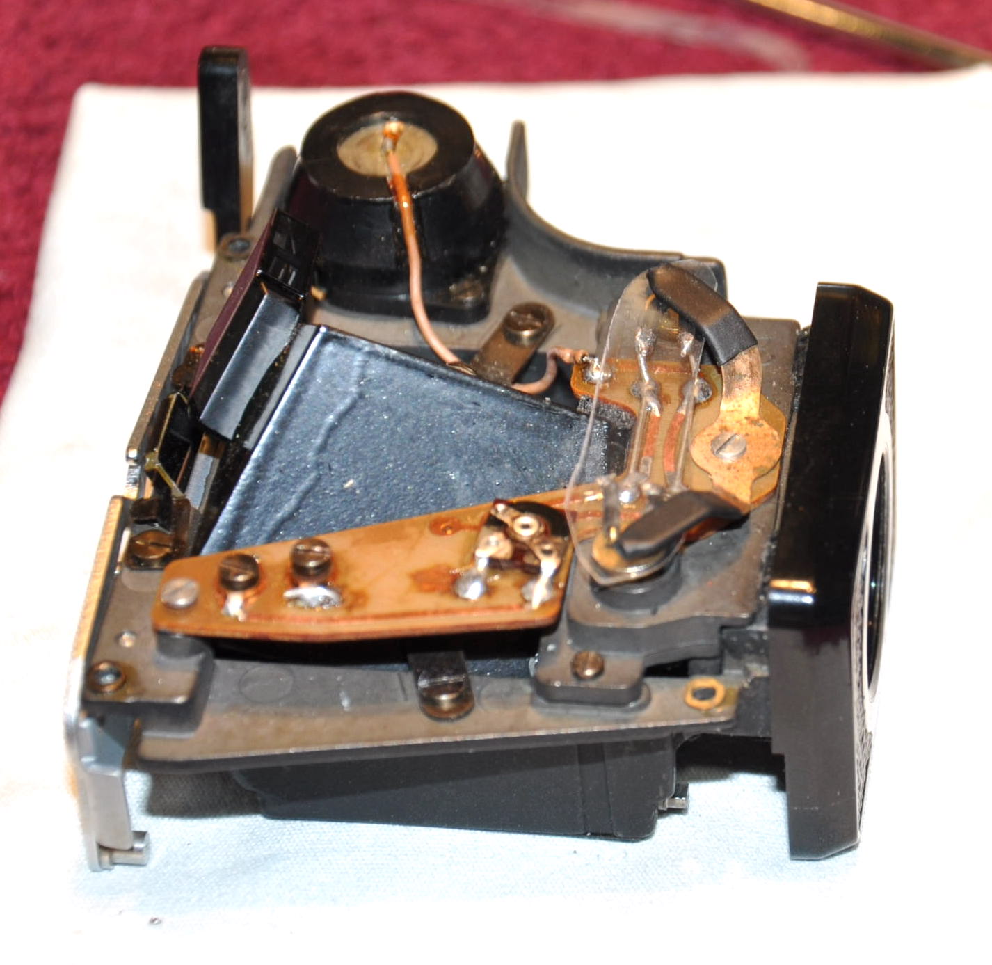 DSC_0602.JPG