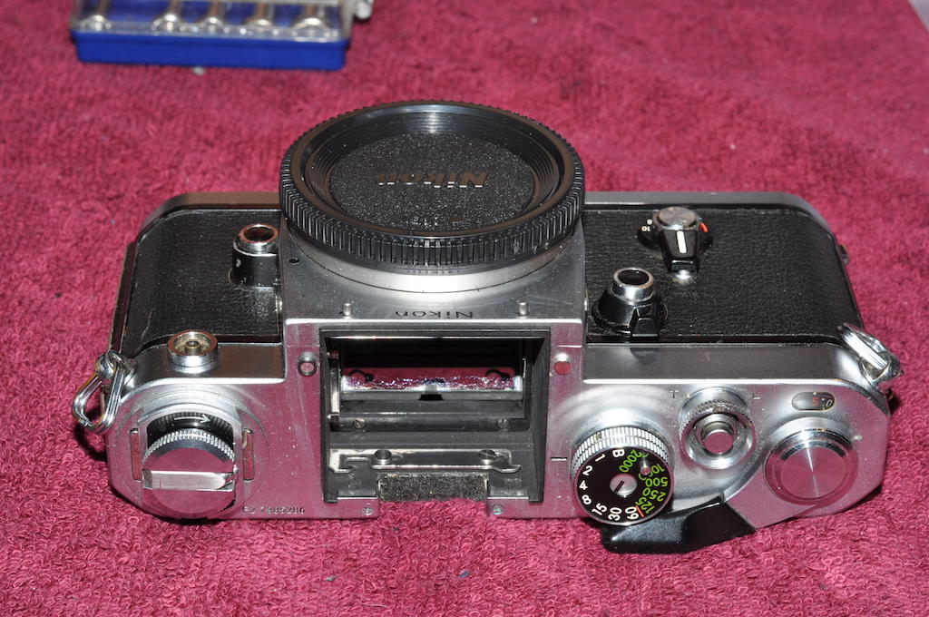 DSC_0637 2.JPG