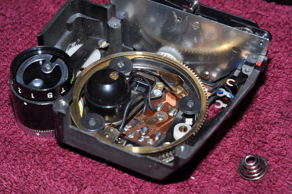 DSC_0690.JPG