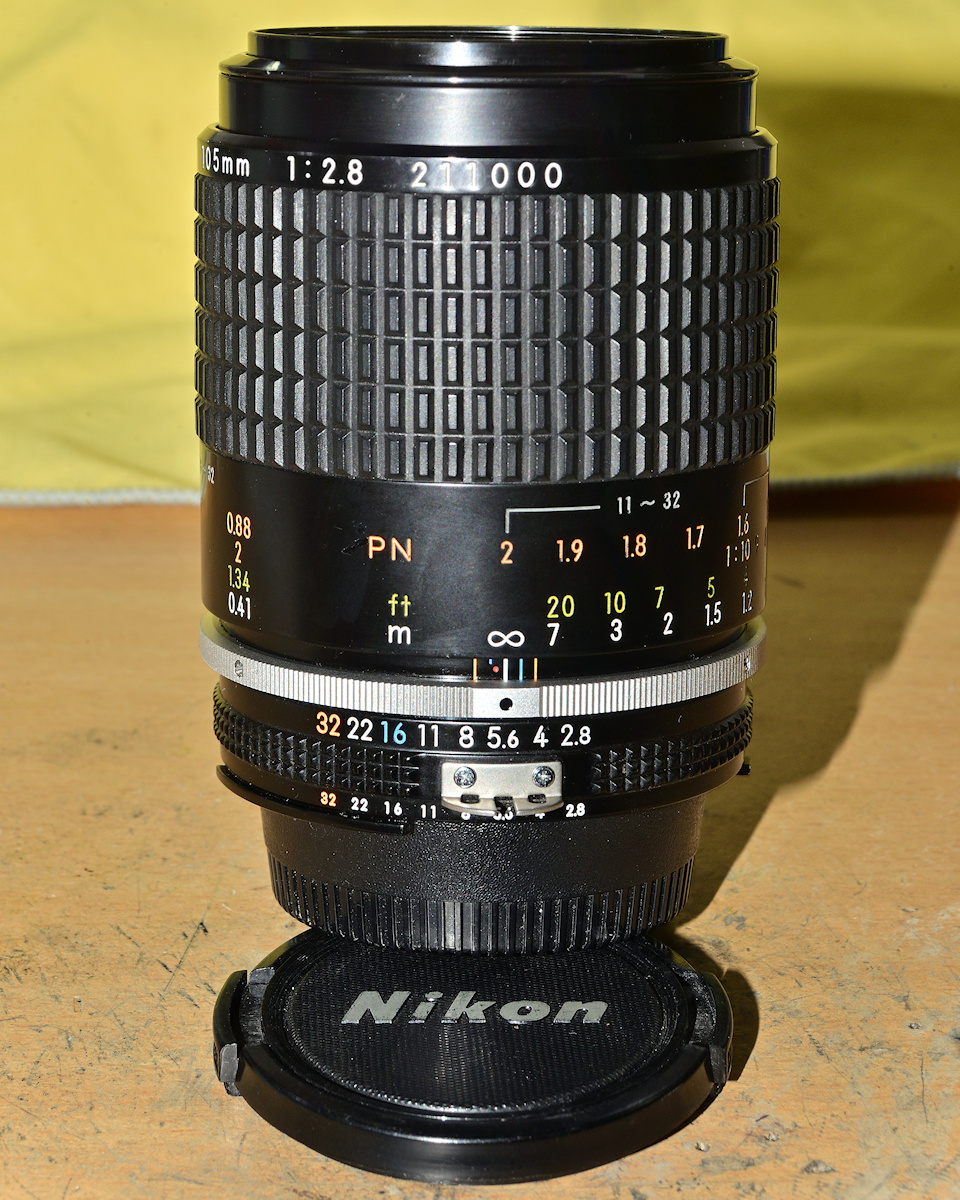 DSC_10950.jpg