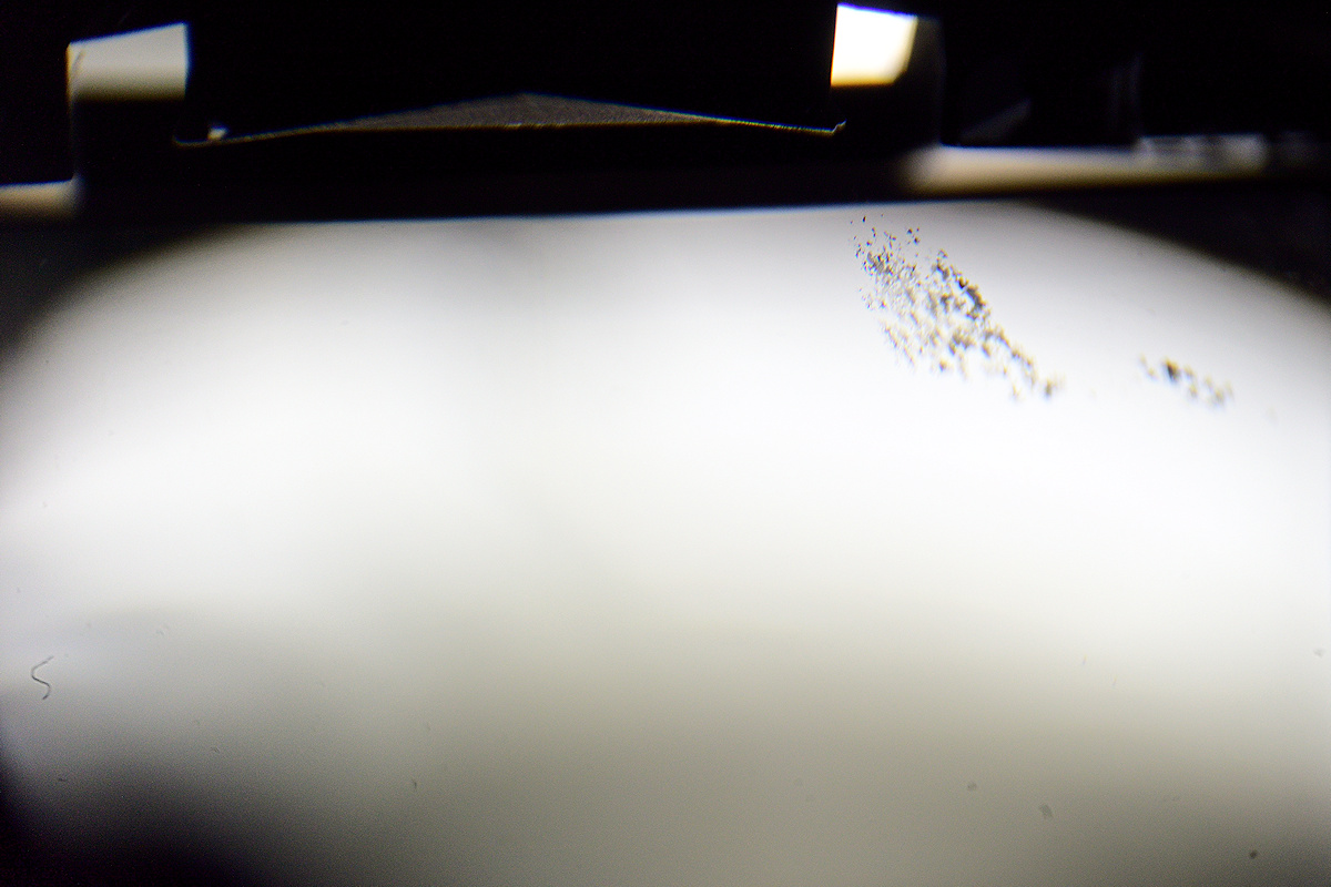 DSC_10959.jpg