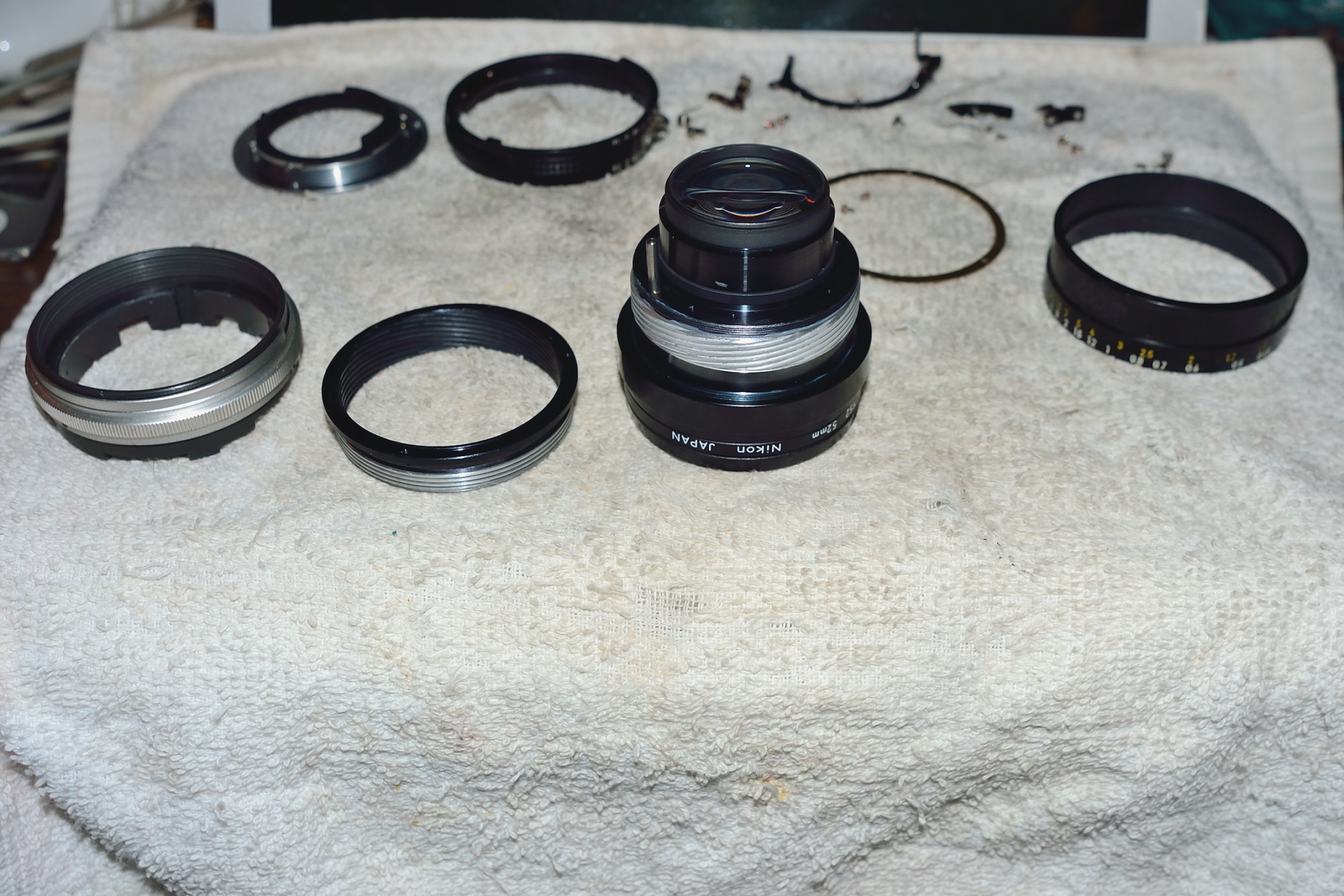 DSC_1914_218tag5.JPG