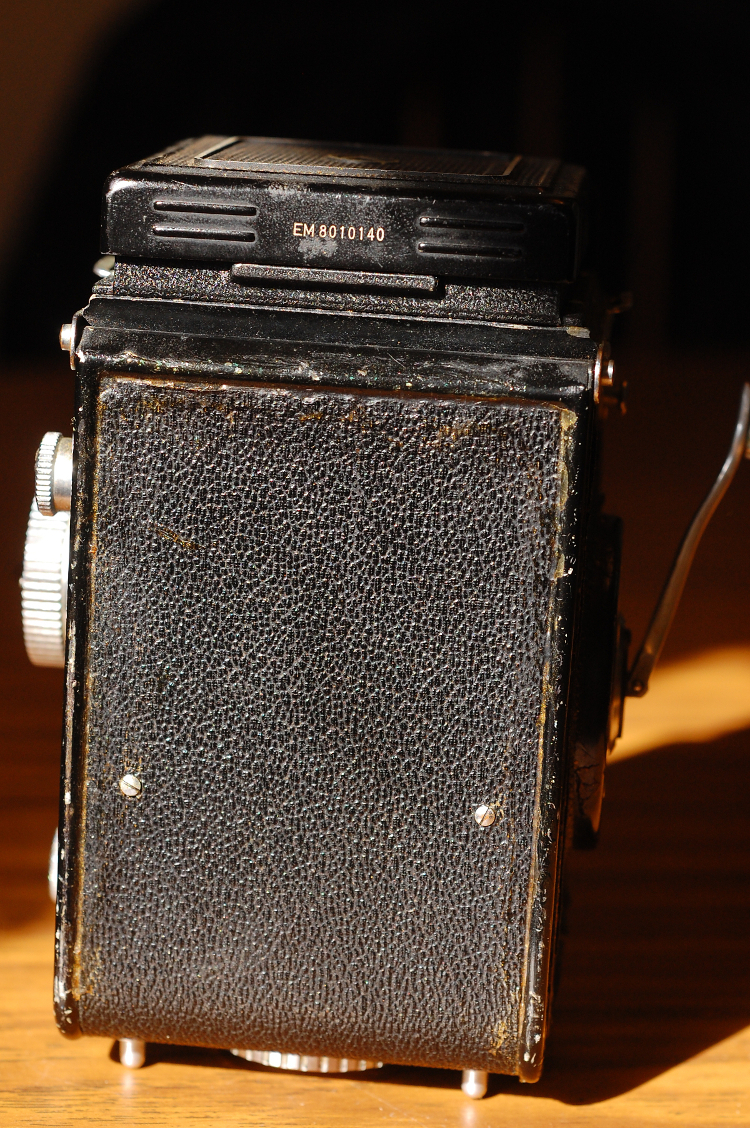 DSC_2684.JPG