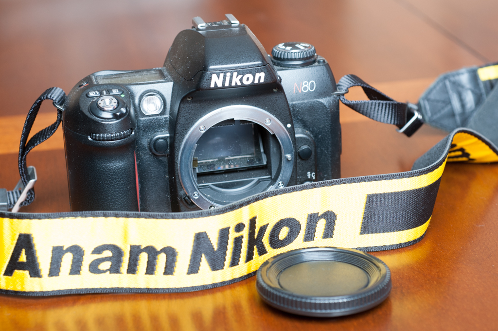 DSC_2838_WebSize.jpg
