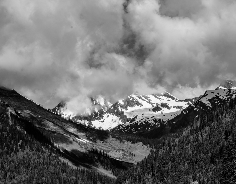 DSC_3368.jpg