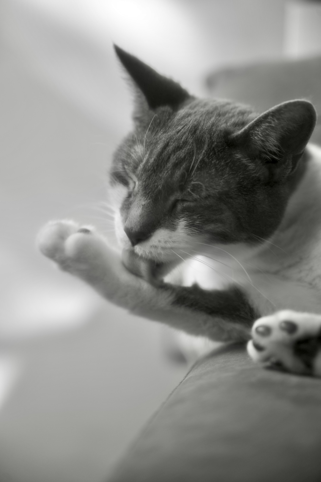 DSC_4861.jpeg