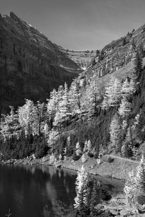 DSC_5226-4.jpg