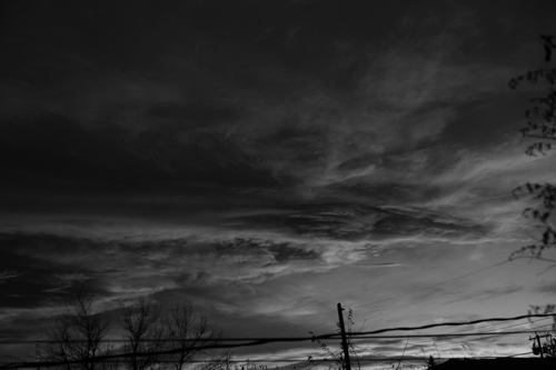DSC_5440-2.jpg
