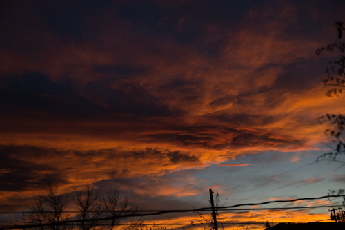 DSC_5440.jpg