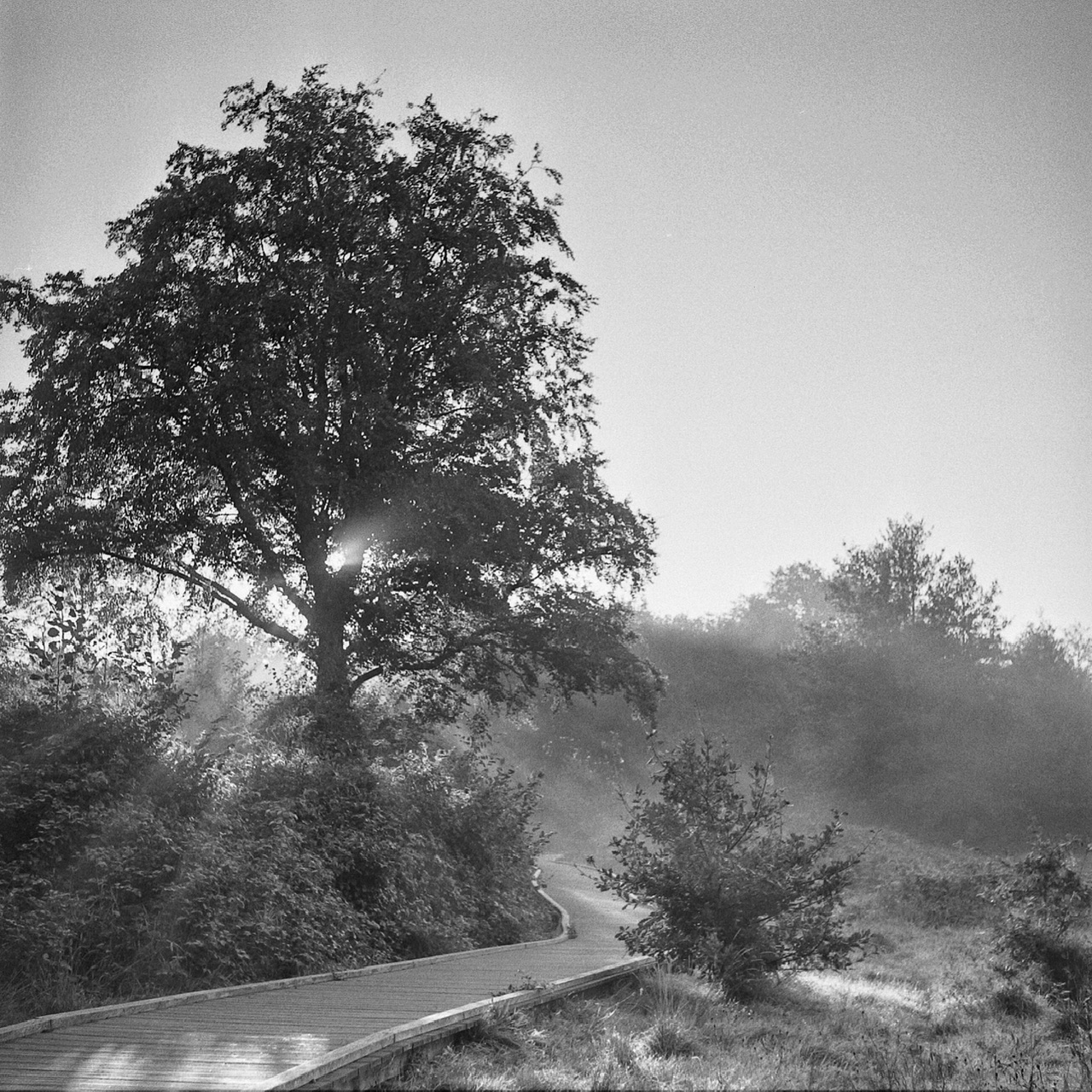 DSC_6108.jpeg