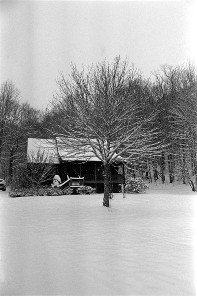 DSC_6952.jpg