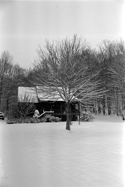 DSC_6953.jpg