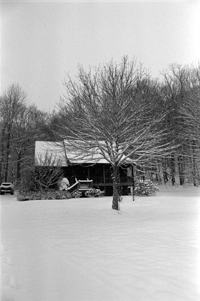 DSC_6954.jpg