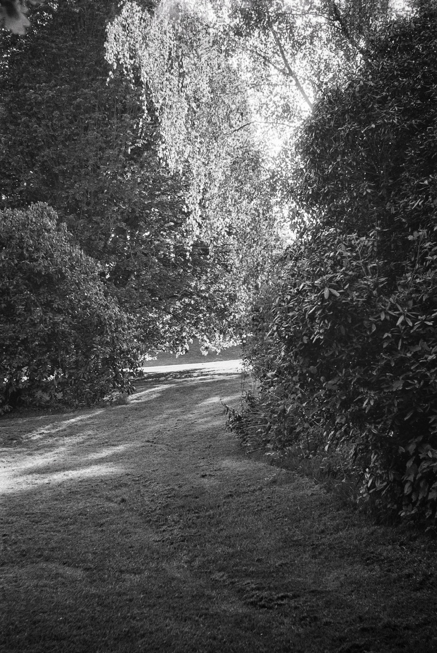 DSC_7638.jpeg