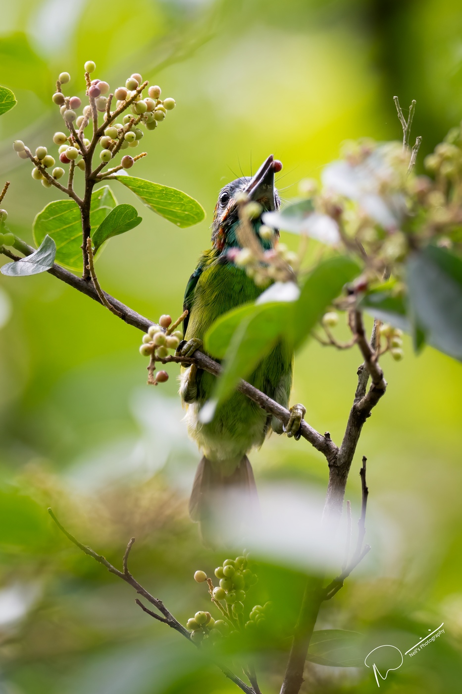 DSC_7639-2.jpg