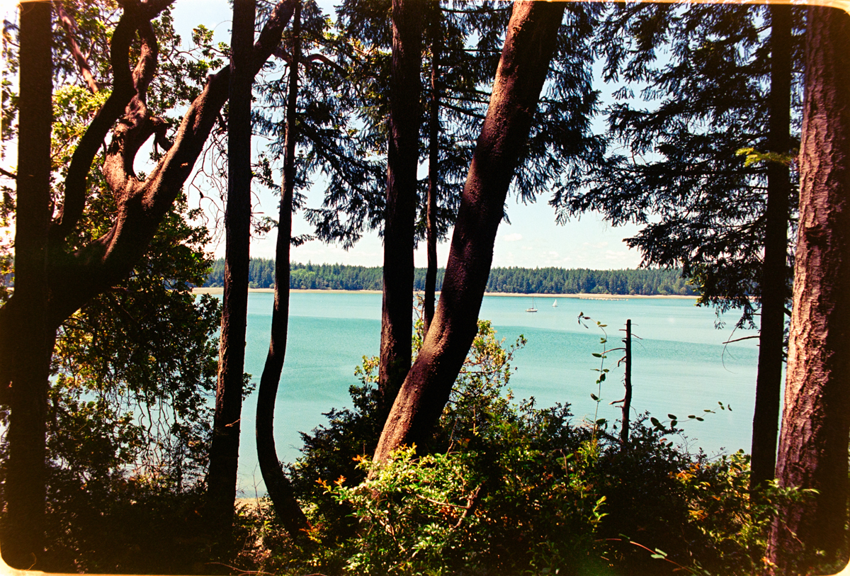 DSC_8959_original-2.jpg