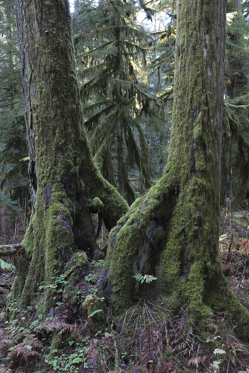 DSCF0098 1.jpg