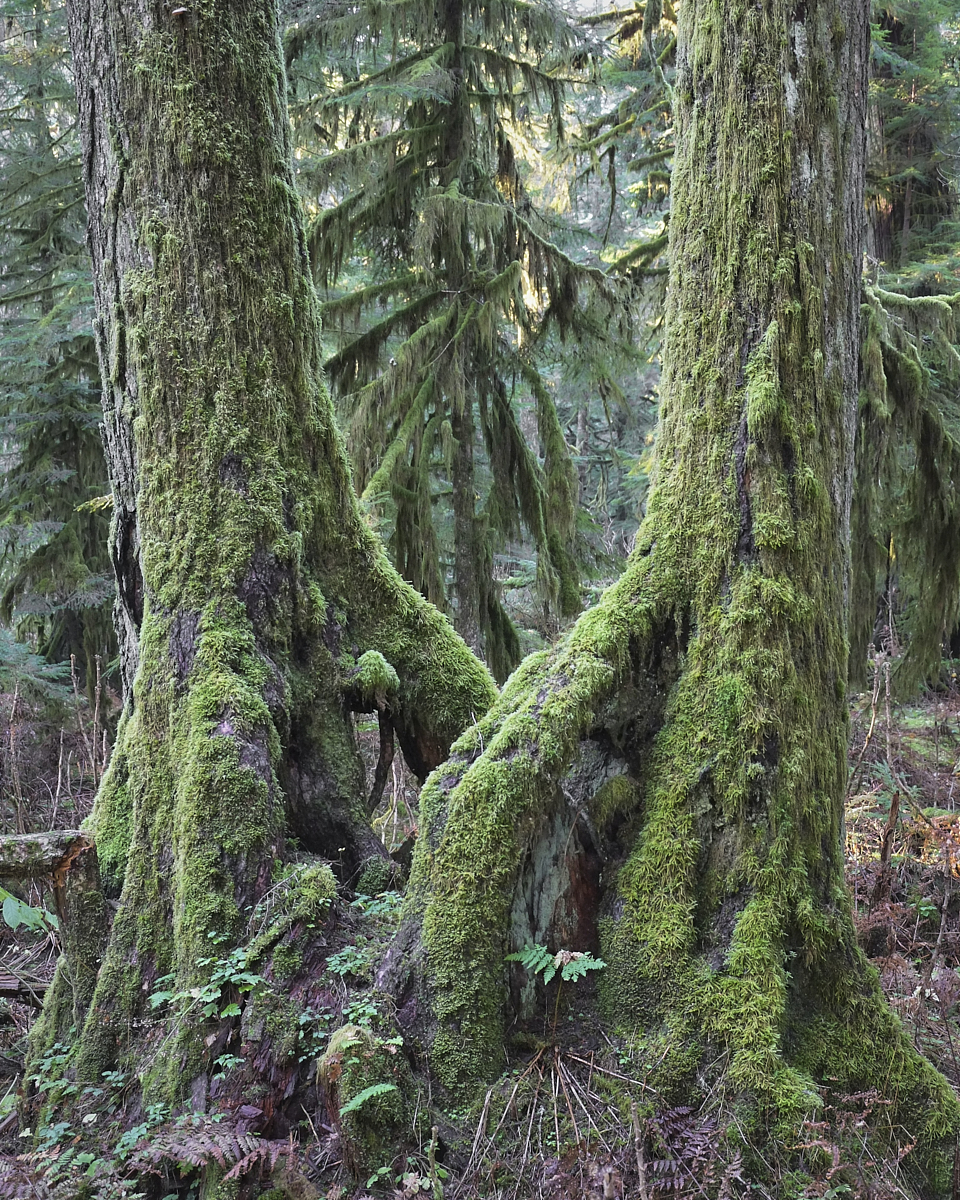 DSCF0098.jpg