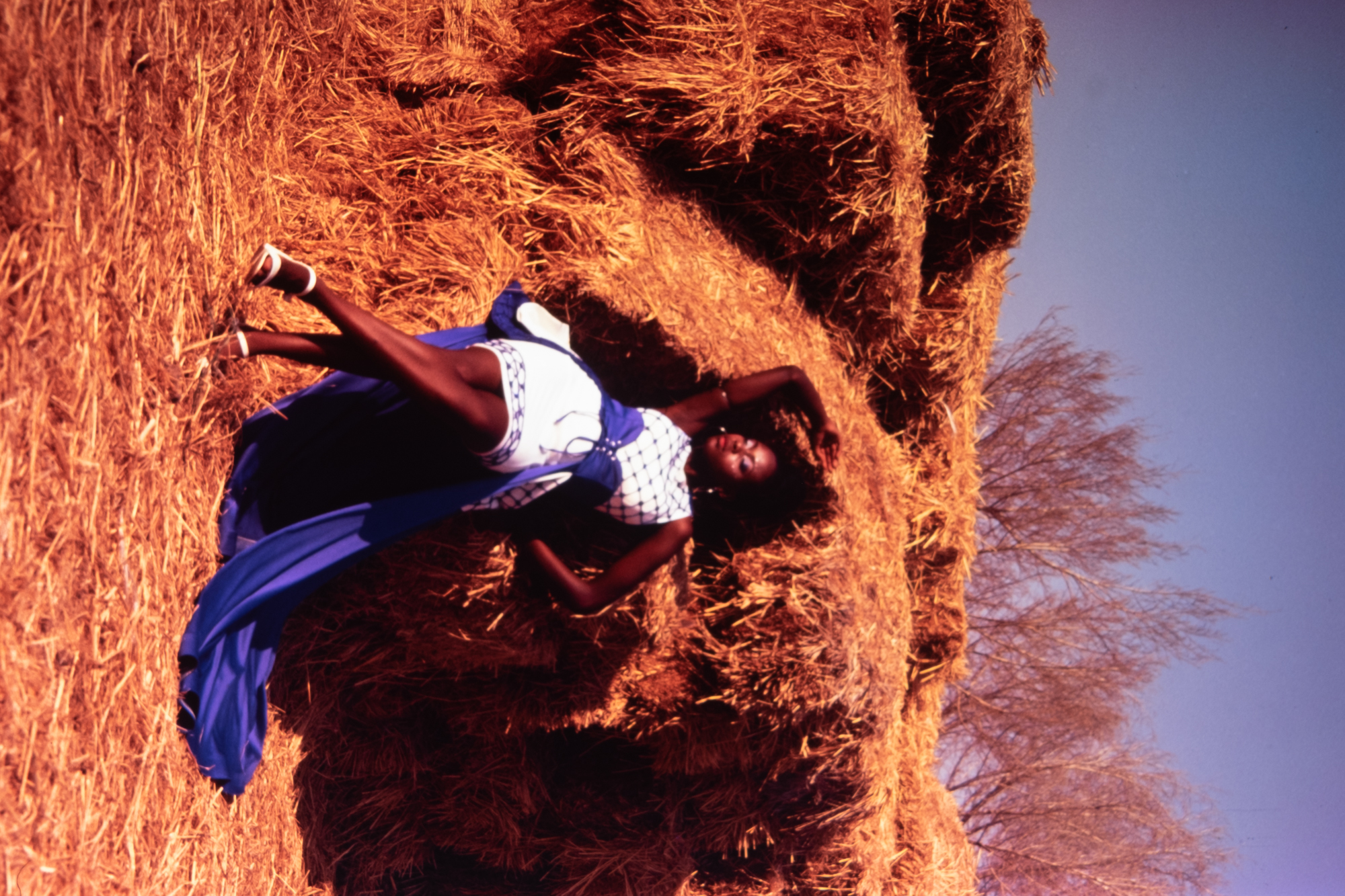 DSCF0674.jpg