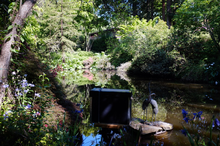DSCF4714a.JPG